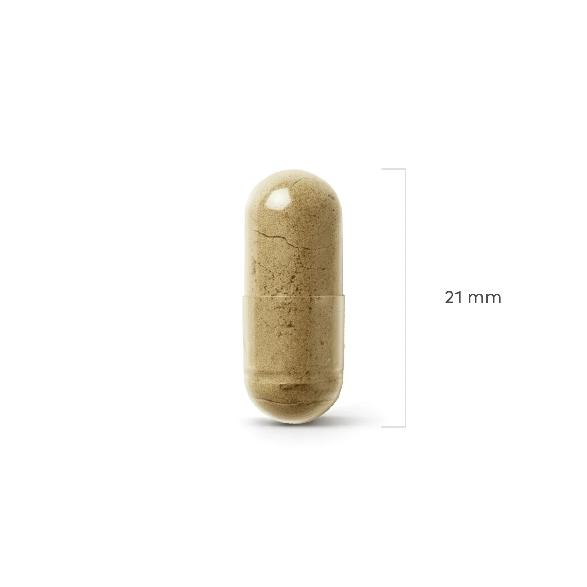 Immune Forte Complex - Afbeelding 4