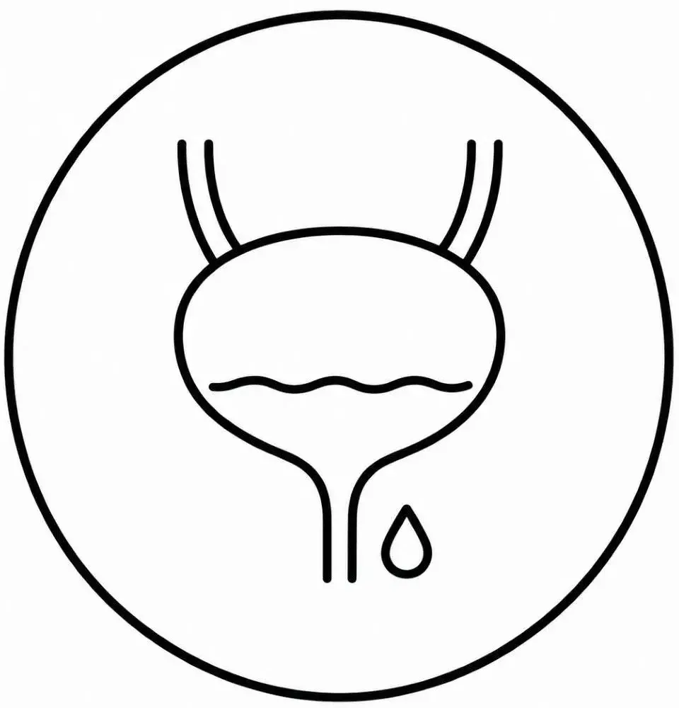 Supplementen voor blaas, prostaat en urinewegen - Perfect Health de webshop voor supplementen
