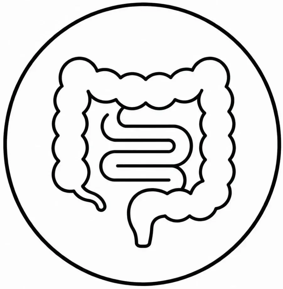 Supplementen voor darmen, spijsvertering, stoelgang, microbioom, darmflora, vezels, prebiotica en probiotica - Perfect Health de webshop voor supplementen
