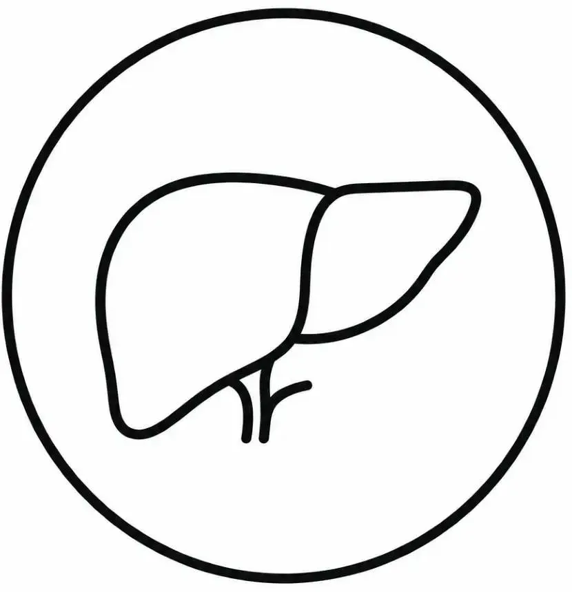 Supplementen voor detox, lever en detoxificatie - Perfect Health de webshop voor supplementen