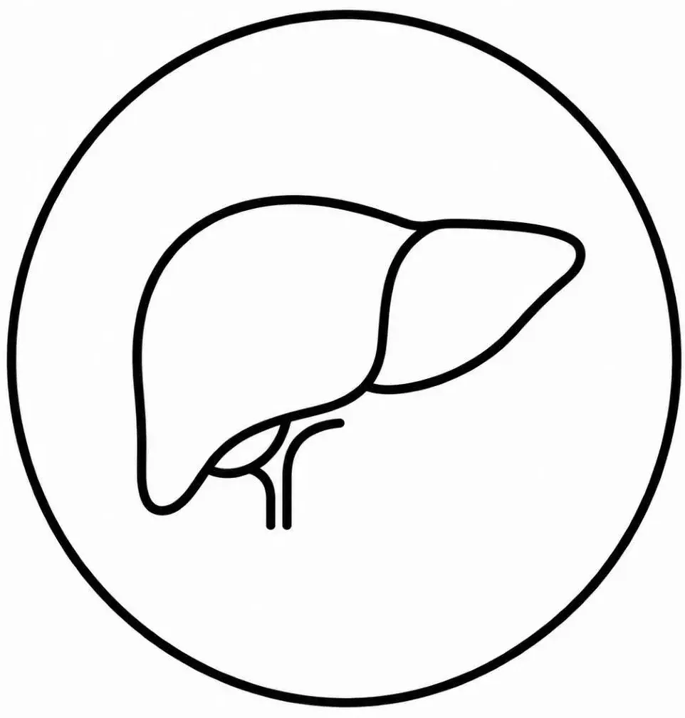 Supplementen voor lever en detoxificatie - Perfect Health de webshop voor supplementen